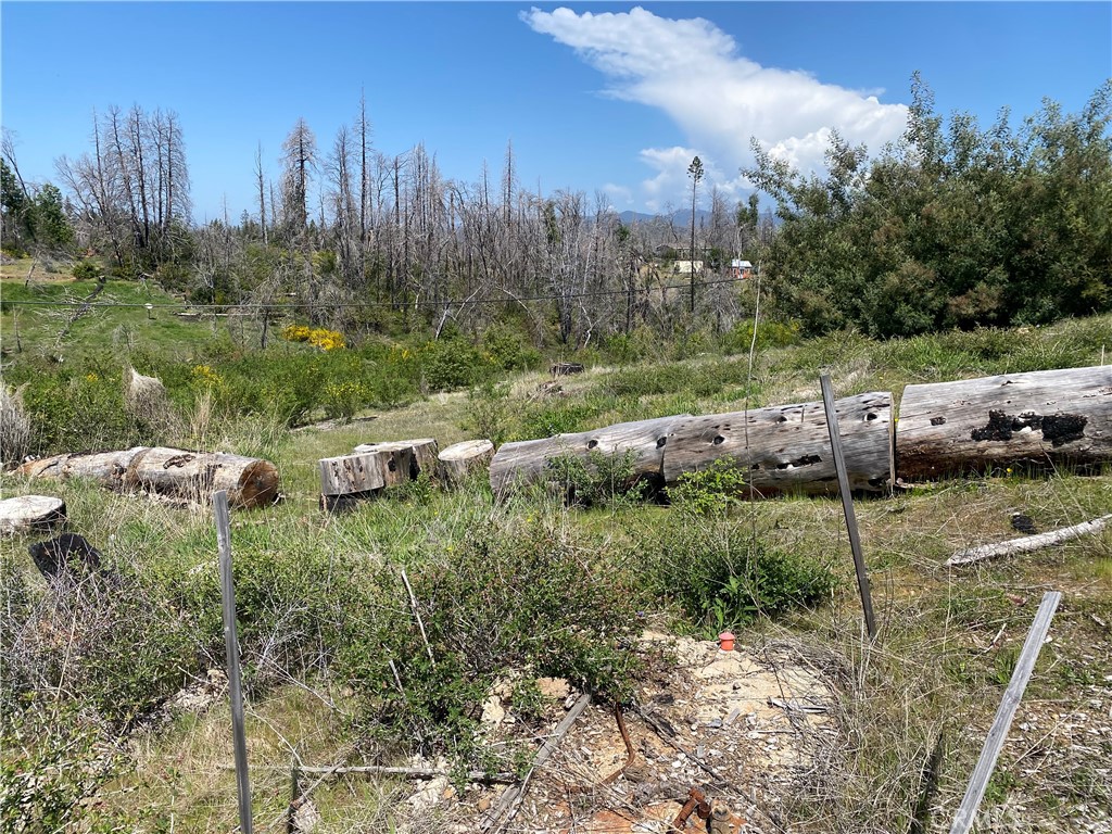 9 Jatko Road Property Photo 4