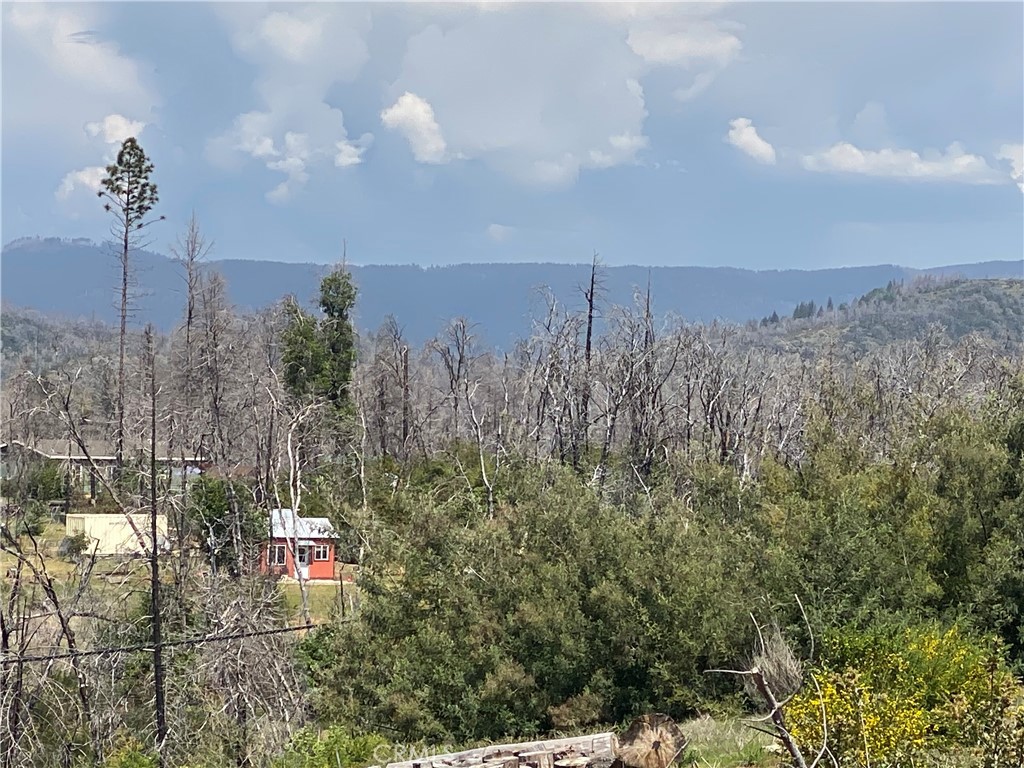 9 Jatko Road Property Photo 15