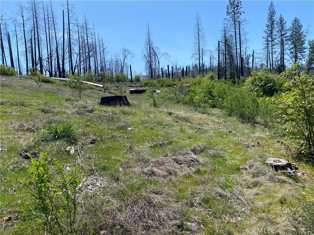 9 Jatko Road Property Photo 20