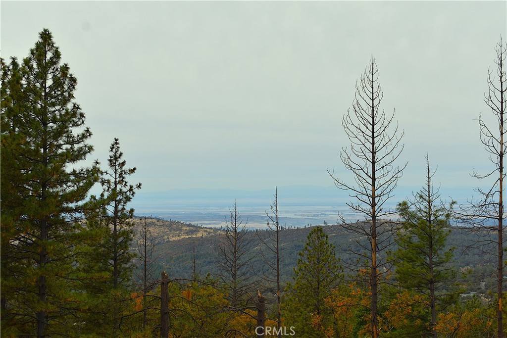 233 Renegade Road Property Photo 1