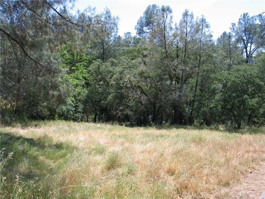 211 Lemon Hill Drive Property Photo 2