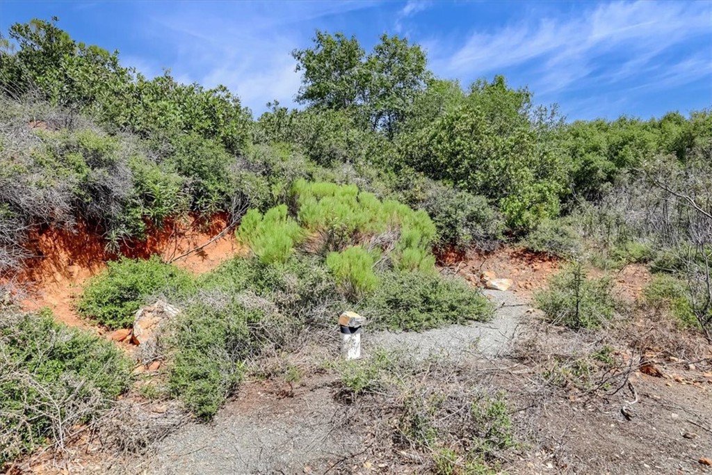 23 Clark Ranch Way Property Photo 2