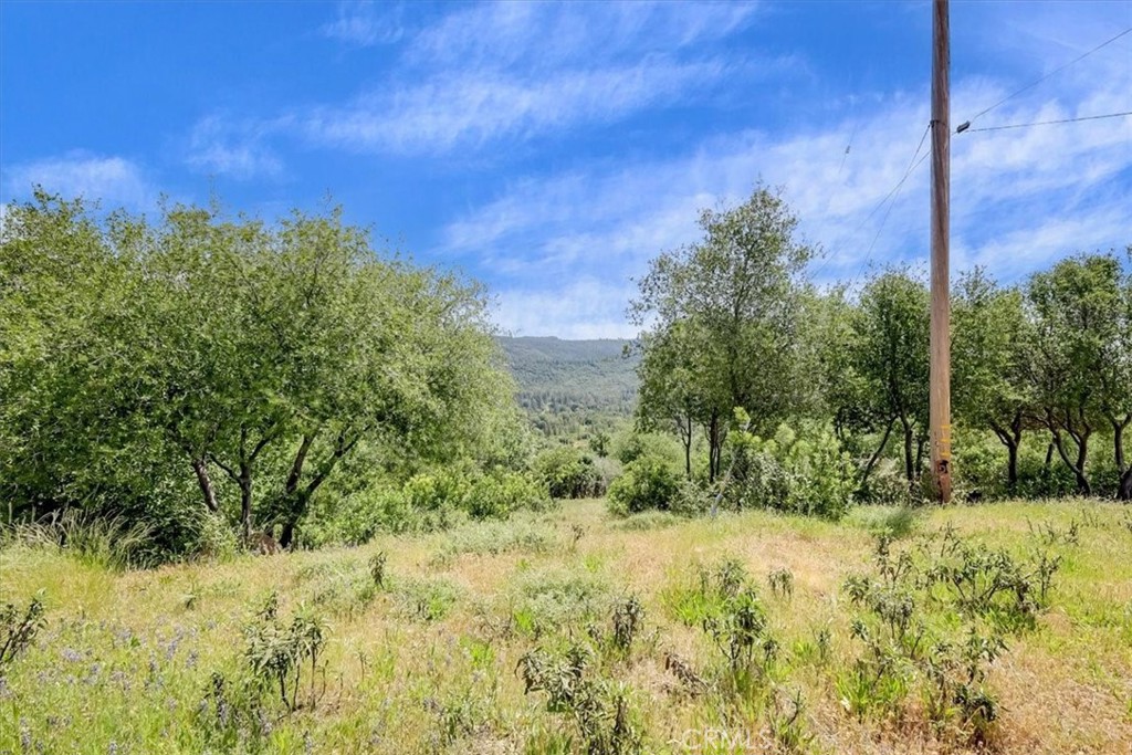 23 Clark Ranch Way Property Photo 7