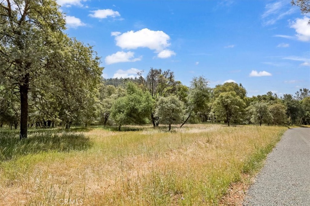 14818 Willow Glen Road Property Photo 7