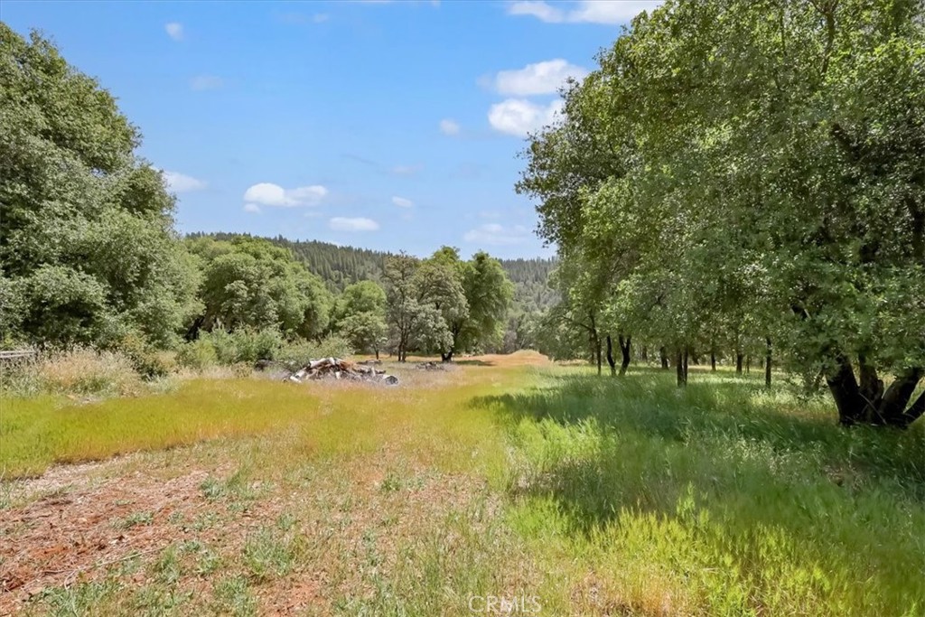 14818 Willow Glen Road Property Photo 8
