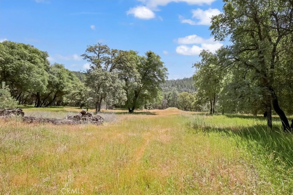 14818 Willow Glen Road Property Photo 9
