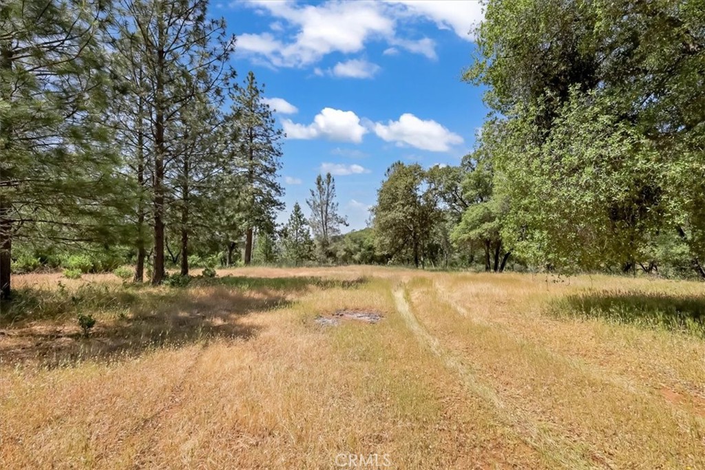 14818 Willow Glen Road Property Photo 10