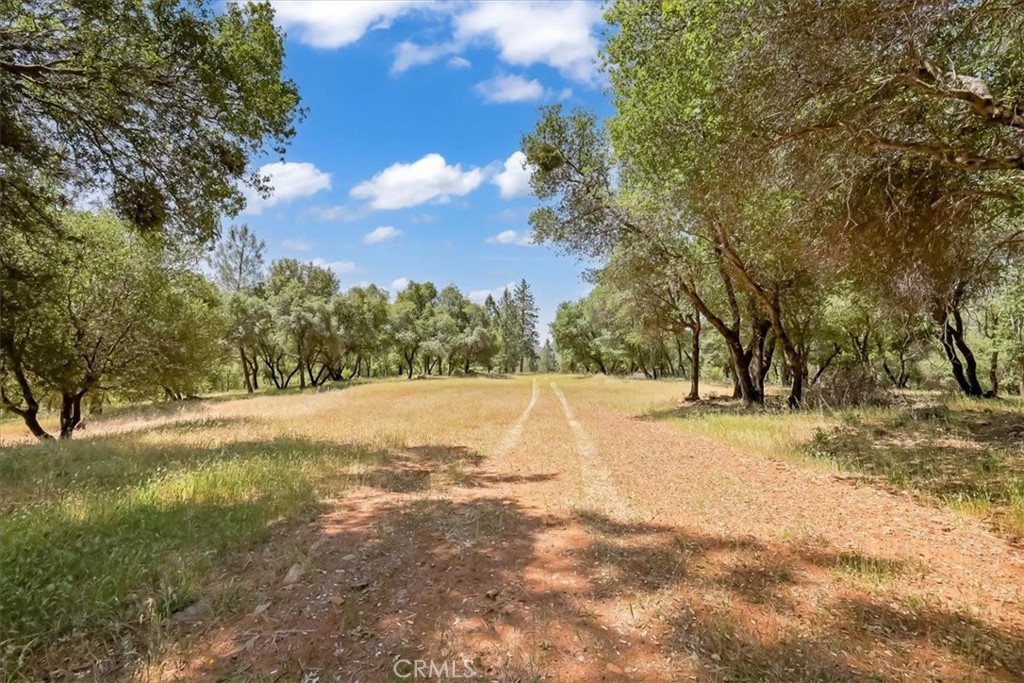 14818 Willow Glen Road Property Photo 11