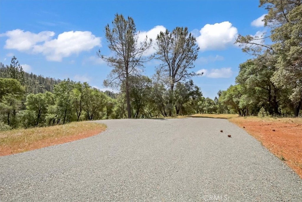 14818 Willow Glen Road Property Photo 12