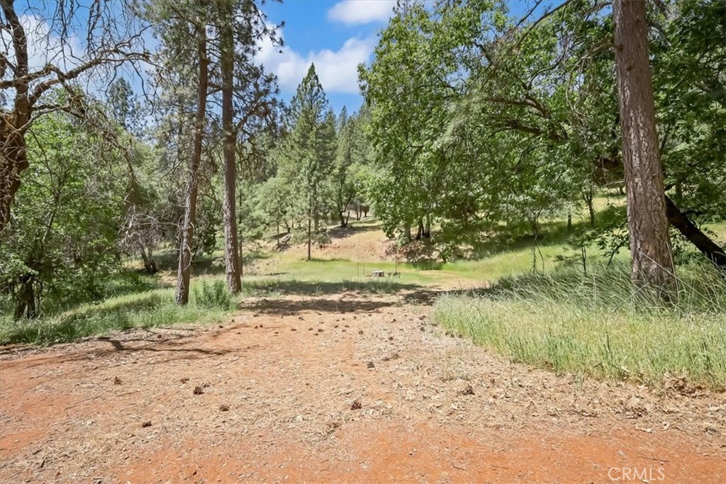 14818 Willow Glen Road Property Photo 14