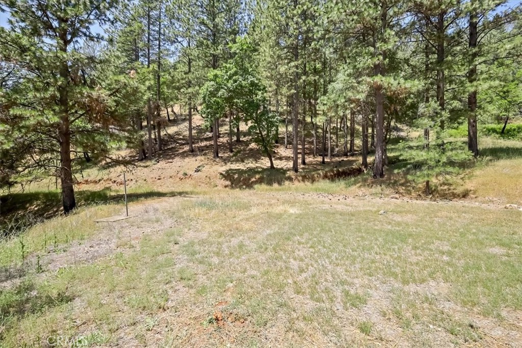 14818 Willow Glen Road Property Photo 16
