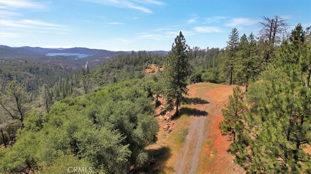 14818 Willow Glen Road Property Photo 17