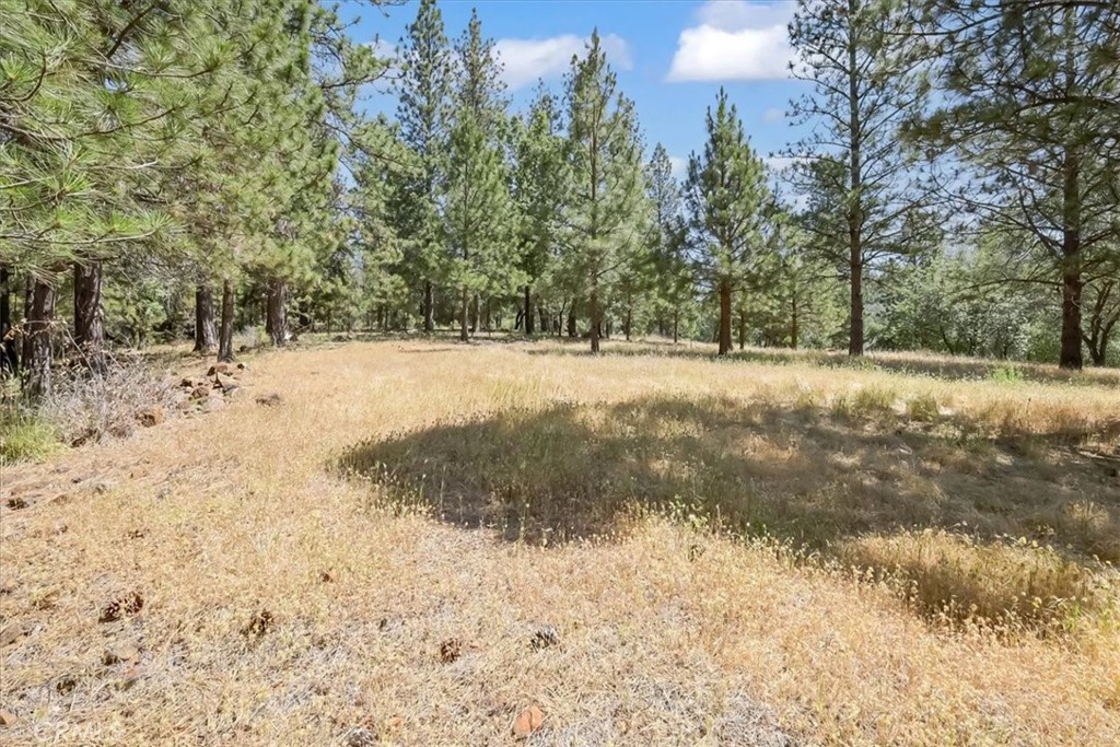 14818 Willow Glen Road Property Photo 23