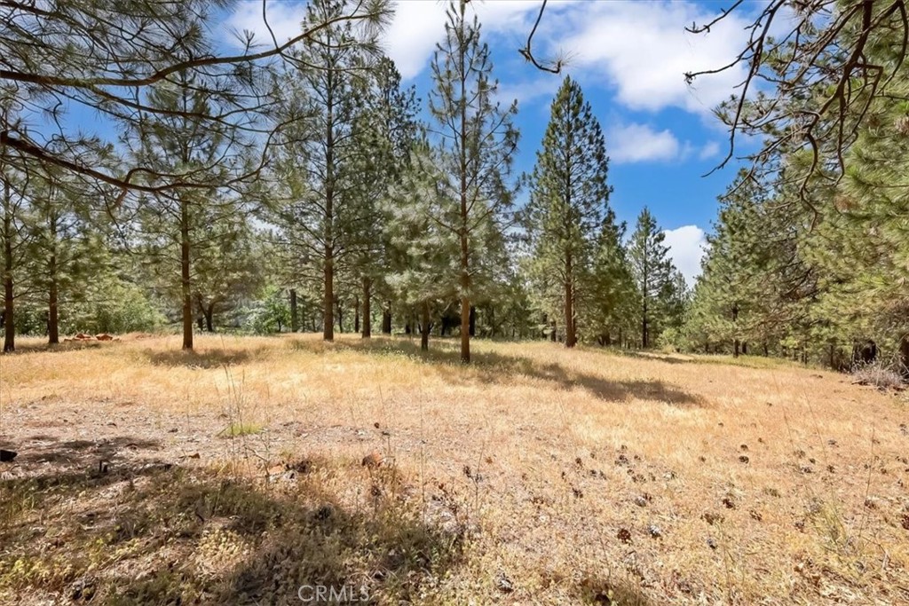 14818 Willow Glen Road Property Photo 24