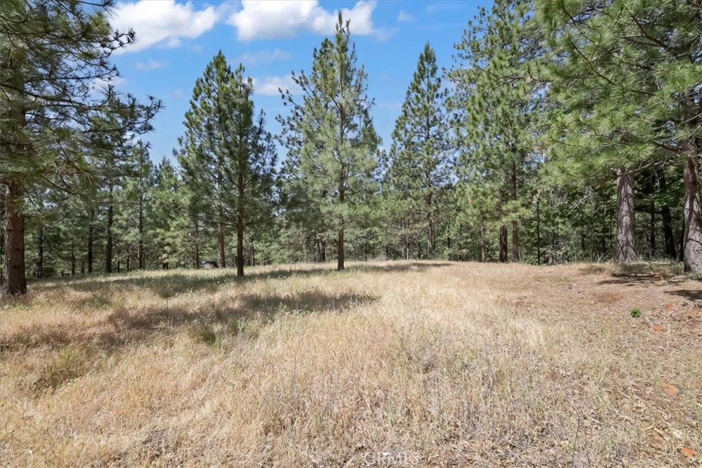 14818 Willow Glen Road Property Photo 25