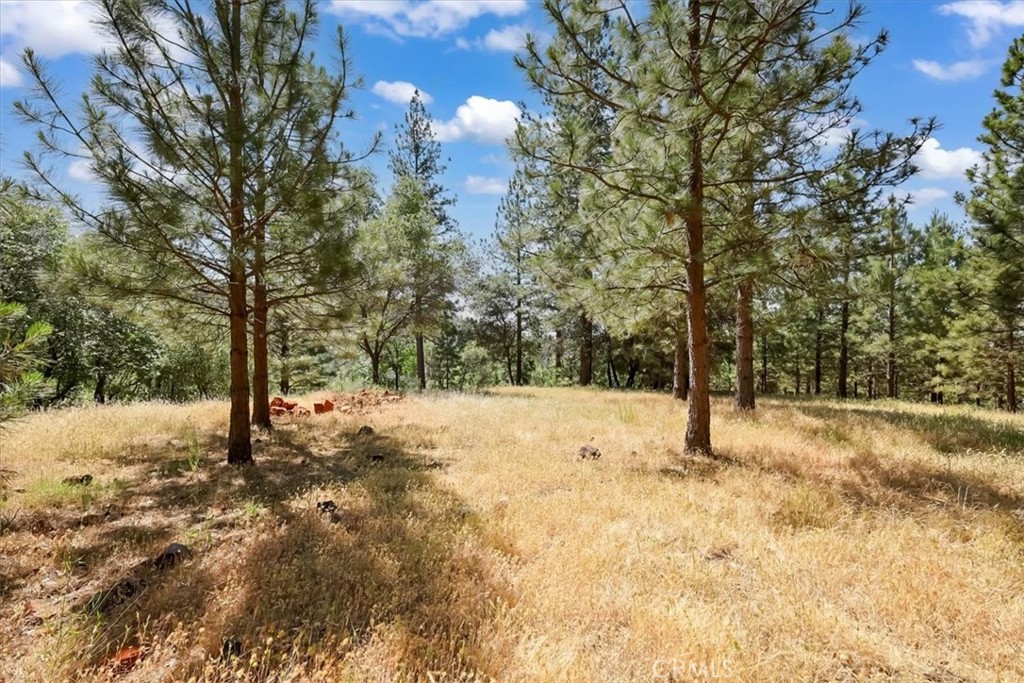 14818 Willow Glen Road Property Photo 26