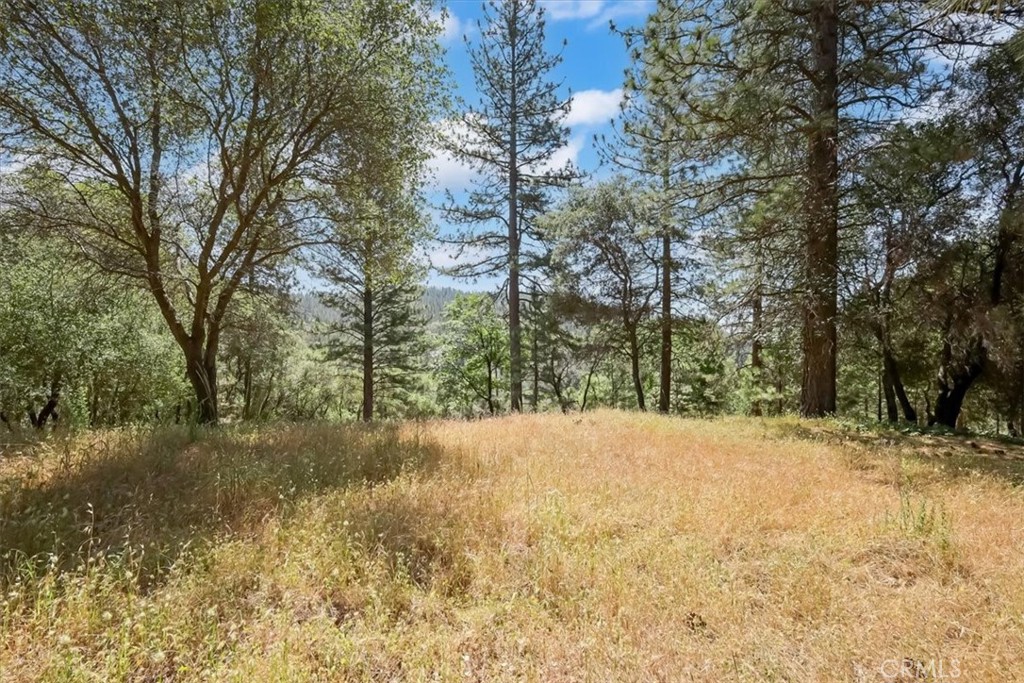 14818 Willow Glen Road Property Photo 27