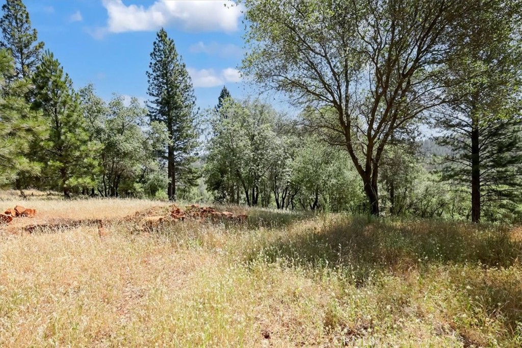 14818 Willow Glen Road Property Photo 28