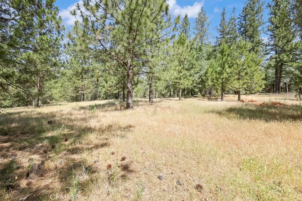 14818 Willow Glen Road Property Photo 29