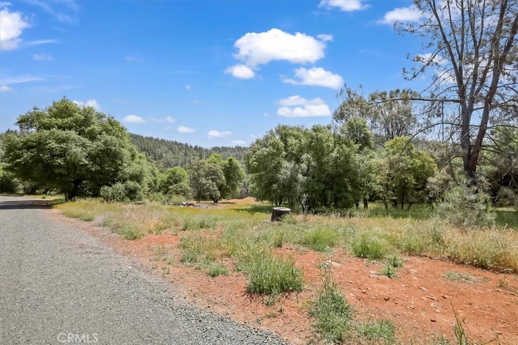 14818 Willow Glen Road Property Photo 30
