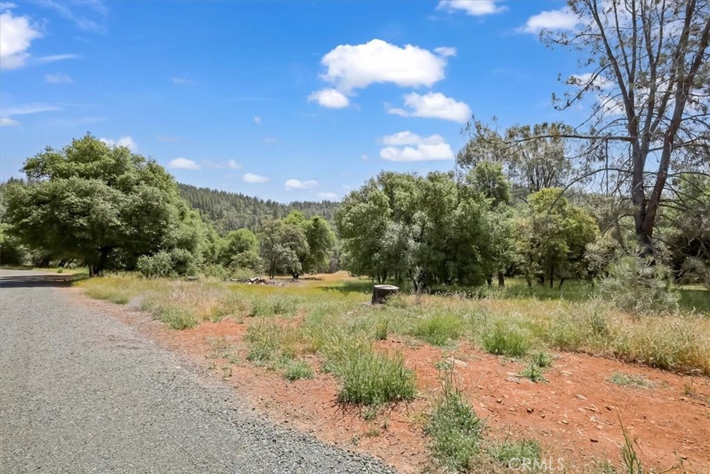 14818 Willow Glen Road Property Photo 31