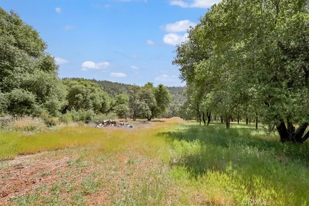 14818 Willow Glen Road Property Photo 32
