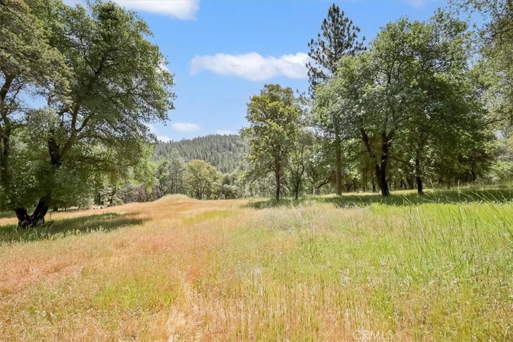 14818 Willow Glen Road Property Photo 33