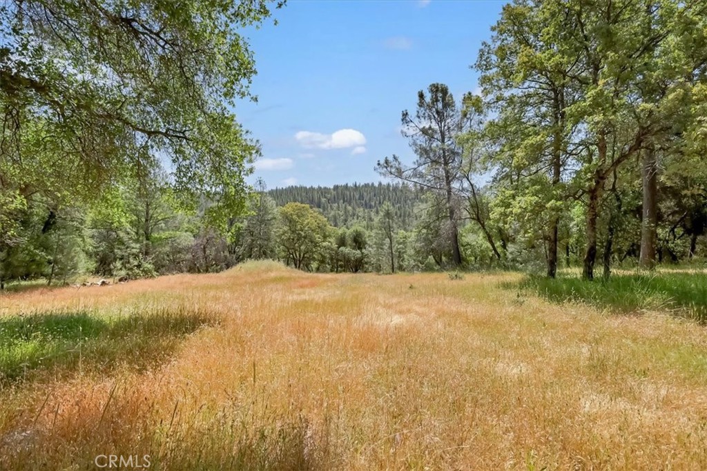 14818 Willow Glen Road Property Photo 34