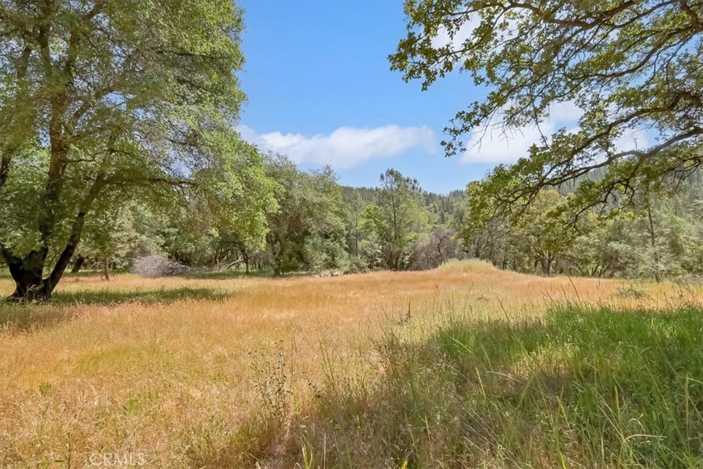 14818 Willow Glen Road Property Photo 35