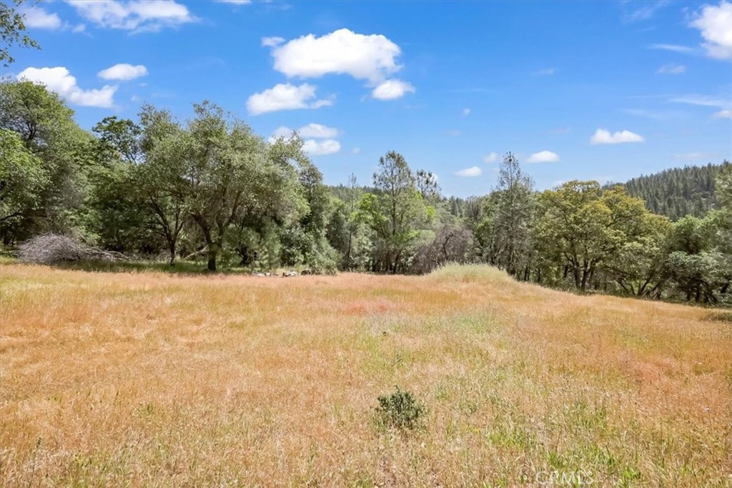 14818 Willow Glen Road Property Photo 36