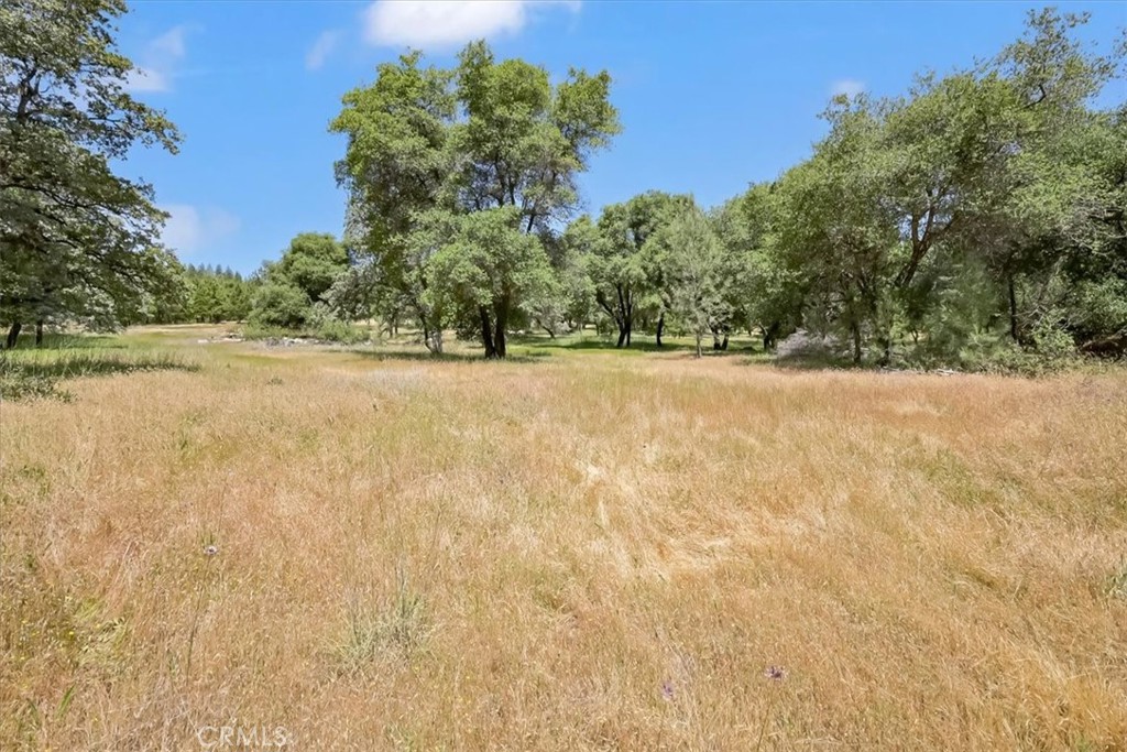 14818 Willow Glen Road Property Photo 37