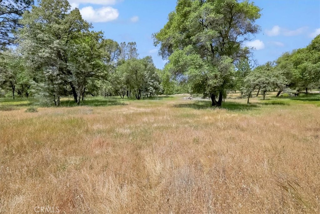 14818 Willow Glen Road Property Photo 38