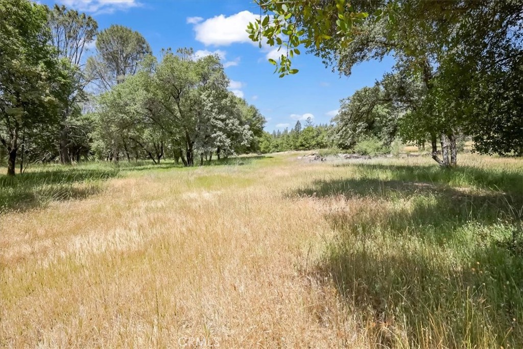 14818 Willow Glen Road Property Photo 39