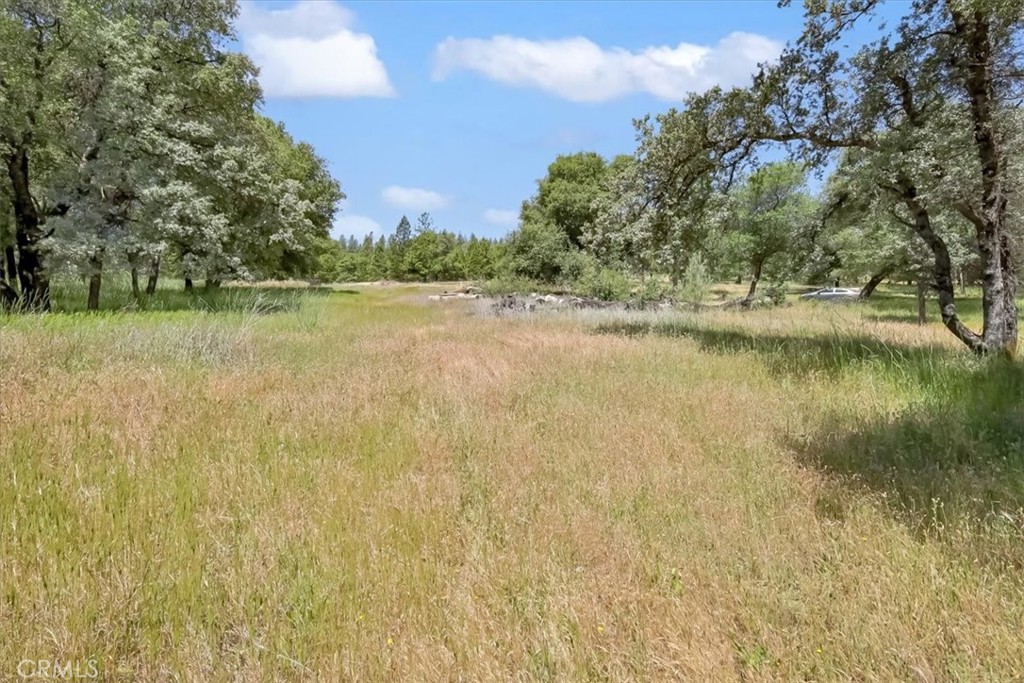 14818 Willow Glen Road Property Photo 40