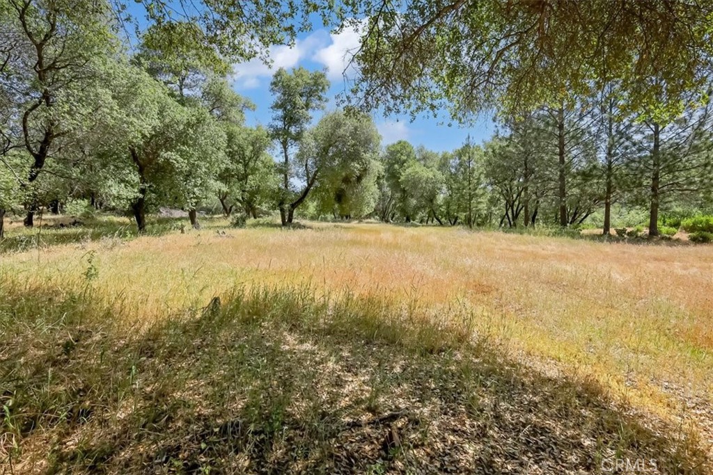 14818 Willow Glen Road Property Photo 41