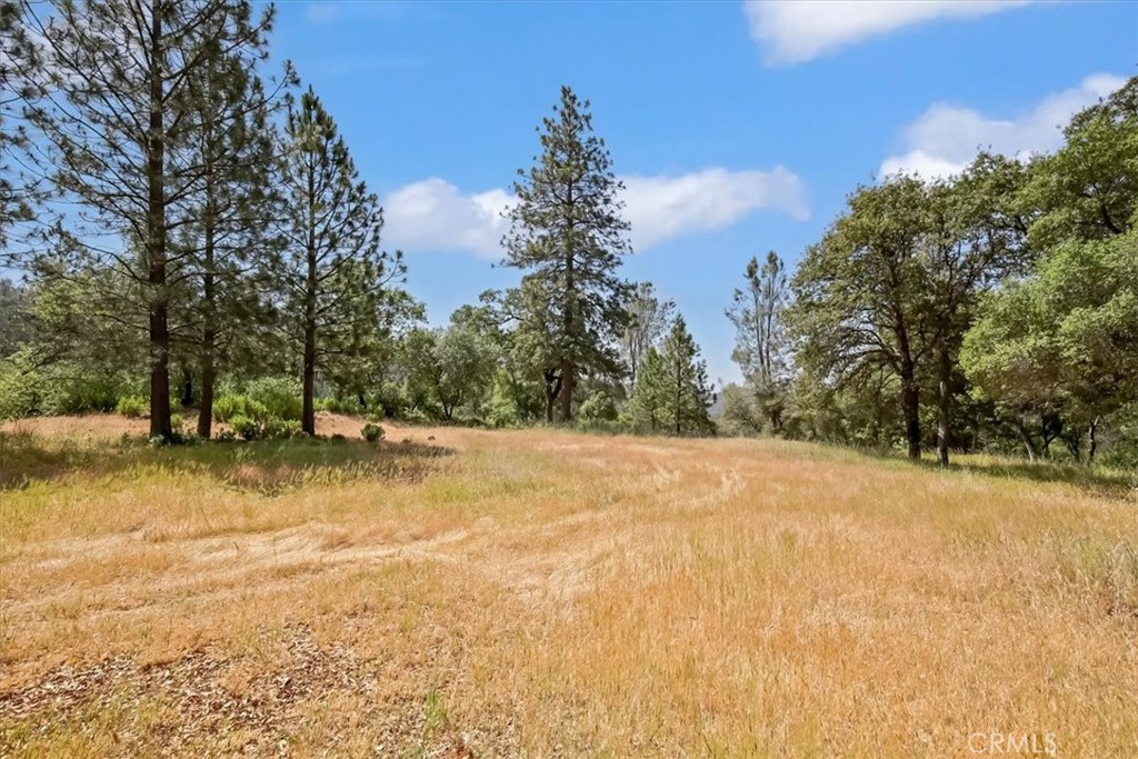14818 Willow Glen Road Property Photo 42
