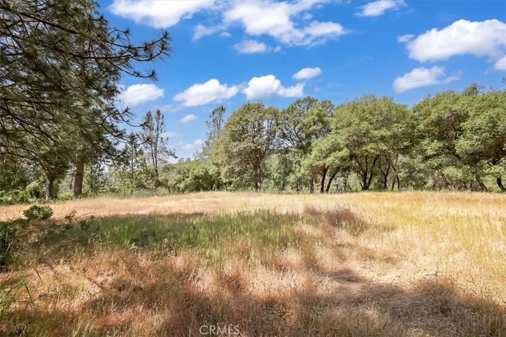 14818 Willow Glen Road Property Photo 43