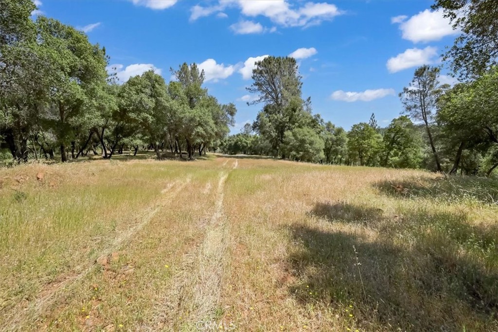 14818 Willow Glen Road Property Photo 44