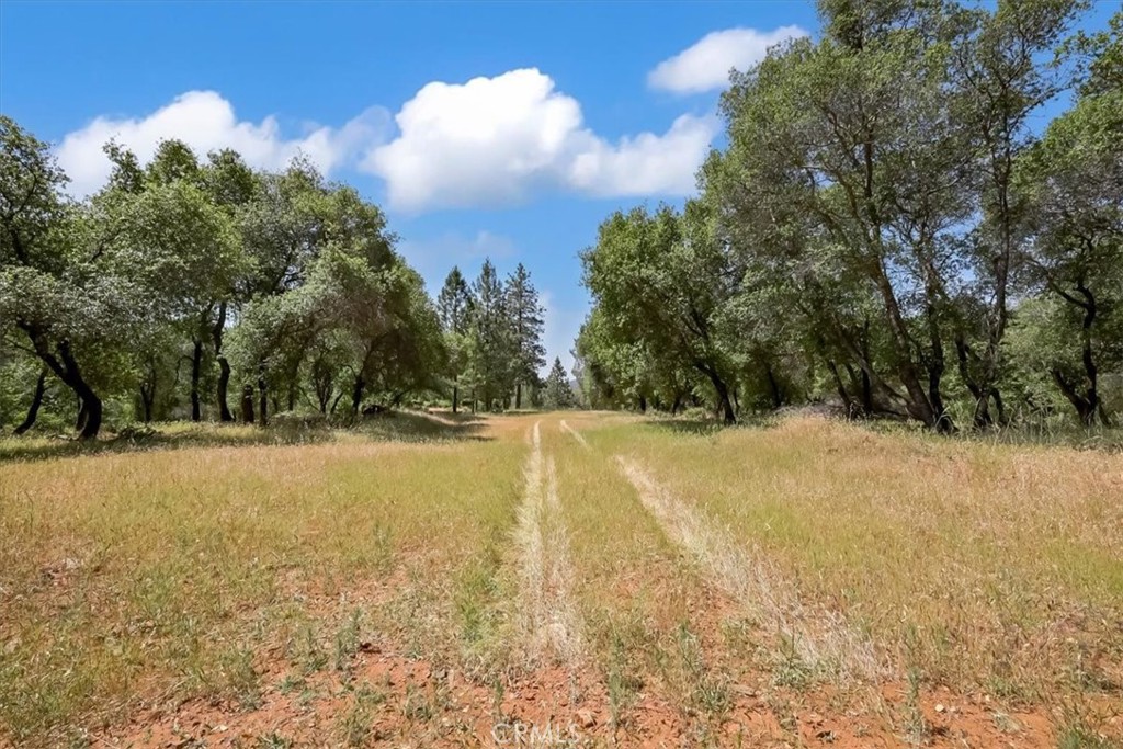 14818 Willow Glen Road Property Photo 45