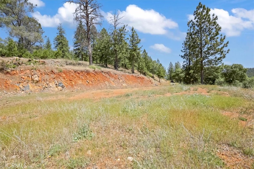 14818 Willow Glen Road Property Photo 46