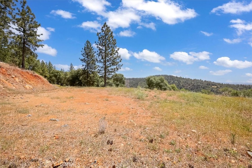 14818 Willow Glen Road Property Photo 47