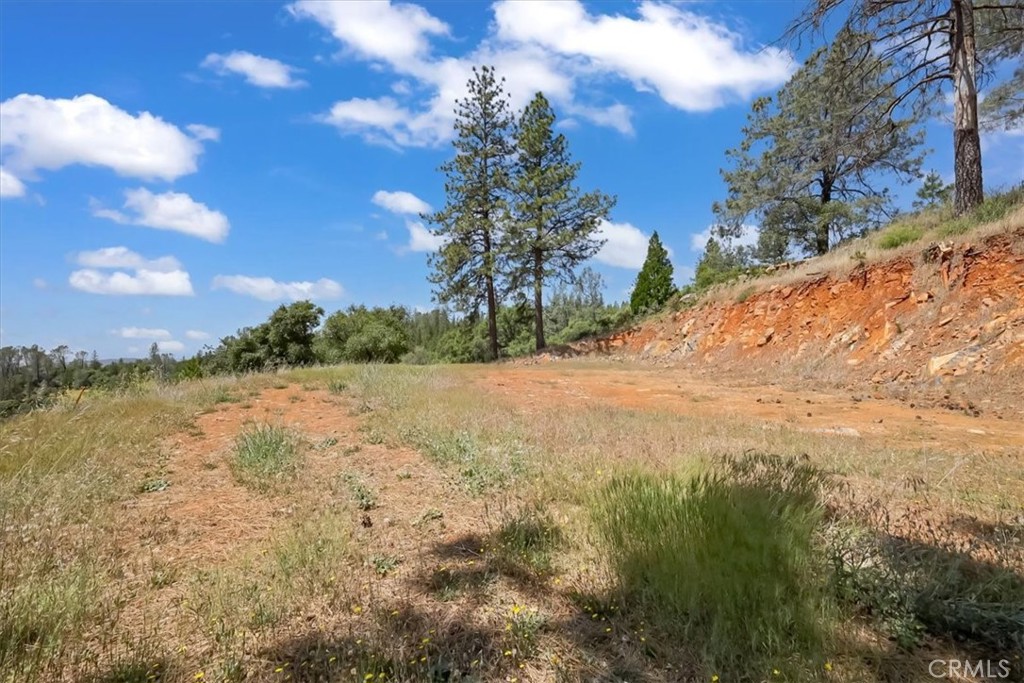 14818 Willow Glen Road Property Photo 49