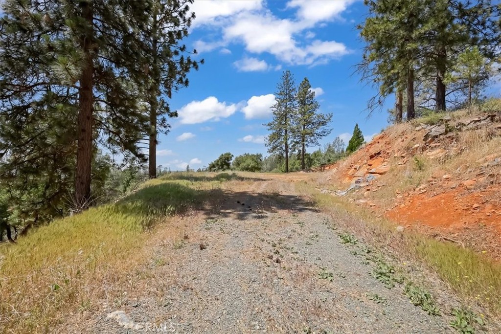 14818 Willow Glen Road Property Photo 50