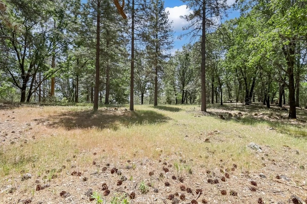 14818 Willow Glen Road Property Photo 51