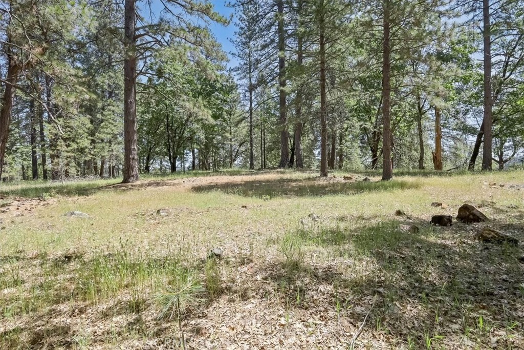 14818 Willow Glen Road Property Photo 52