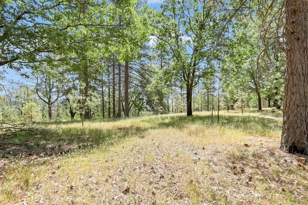 14818 Willow Glen Road Property Photo 54
