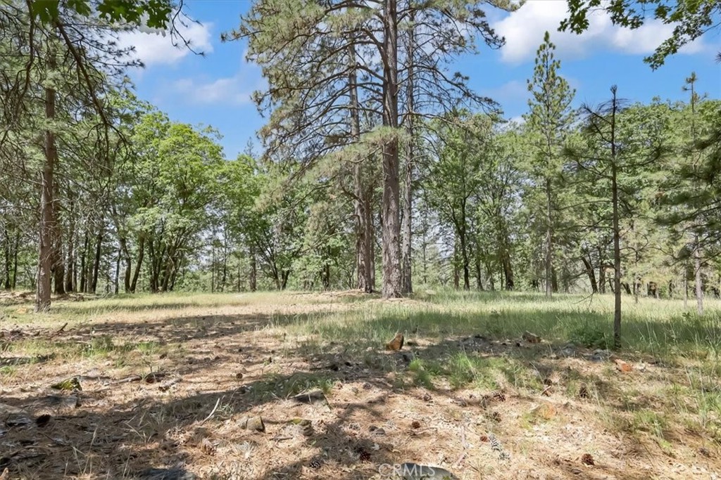 14818 Willow Glen Road Property Photo 55