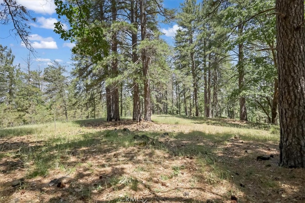 14818 Willow Glen Road Property Photo 57