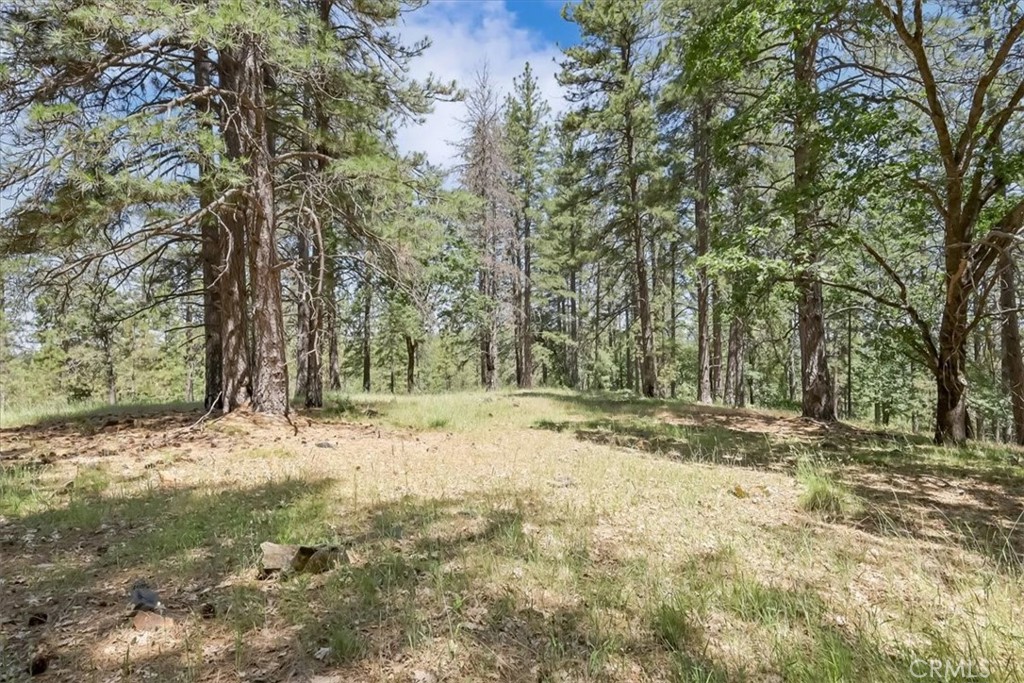 14818 Willow Glen Road Property Photo 58