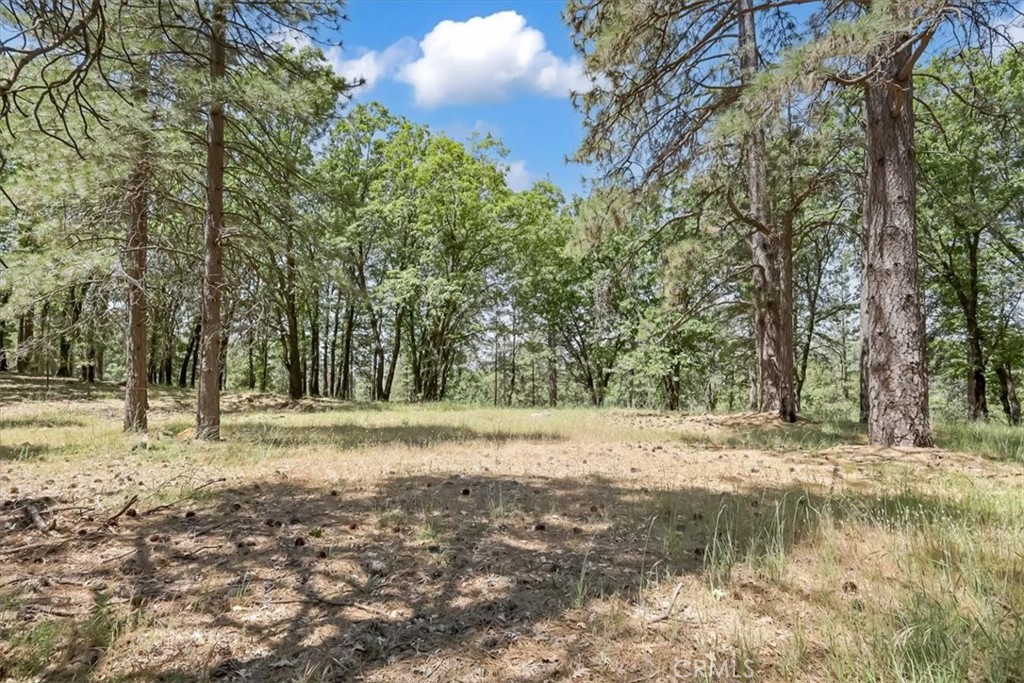 14818 Willow Glen Road Property Photo 60